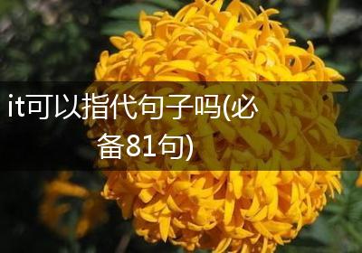 it可以指代句子吗(必备81句)