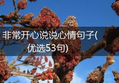 非常开心说说心情句子(优选53句)