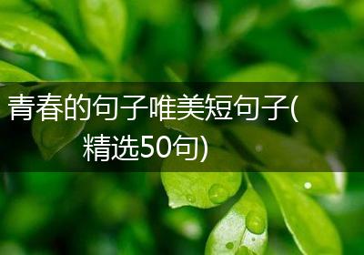 青春的句子唯美短句子(精选50句)