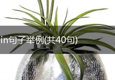 in句子举例(共40句)