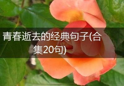 青春逝去的经典句子(合集20句)