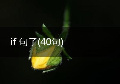 if 句子(40句)