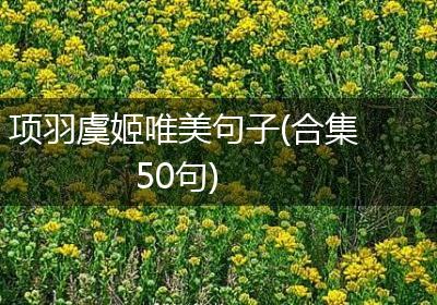项羽虞姬唯美句子(合集50句)
