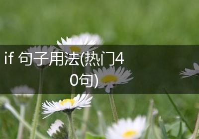 if 句子用法(热门40句)