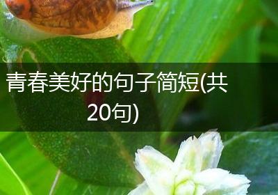 青春美好的句子简短(共20句)