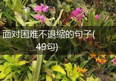 面对困难不退缩的句子(49句)