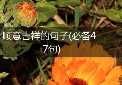 顺意吉祥的句子(必备47句)