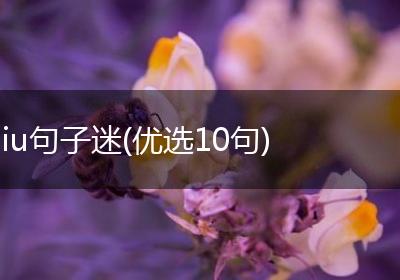 iu句子迷(优选10句)