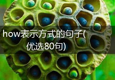 how表示方式的句子(优选80句)