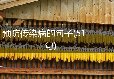 预防传染病的句子(51句)