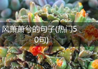 风萧萧兮的句子(热门50句)