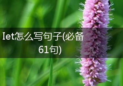 Iet怎么写句子(必备61句)