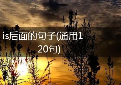 is后面的句子(通用120句)
