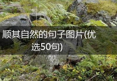 顺其自然的句子图片(优选50句)