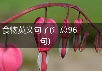 食物英文句子(汇总96句)