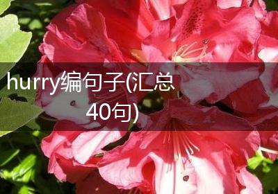 hurry编句子(汇总40句)