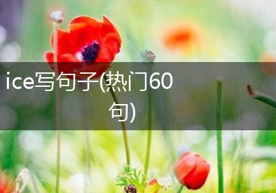 ice写句子(热门60句)