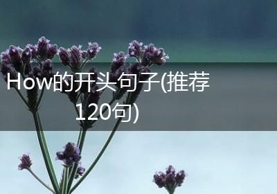 How的开头句子(推荐120句)