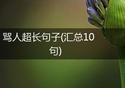 骂人超长句子(汇总10句)