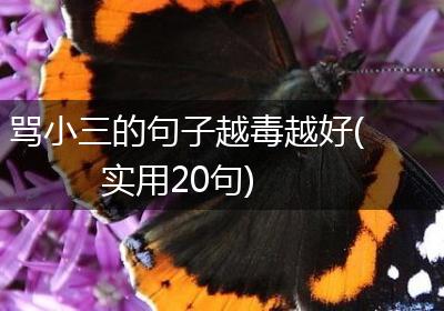 骂小三的句子越毒越好(实用20句)