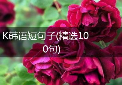 K韩语短句子(精选100句)
