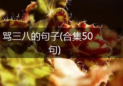 骂三八的句子(合集50句)