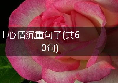 l 心情沉重句子(共60句)
