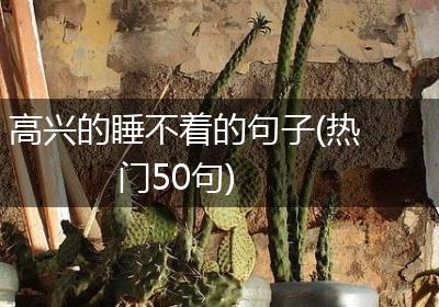 高兴的睡不着的句子(热门50句)