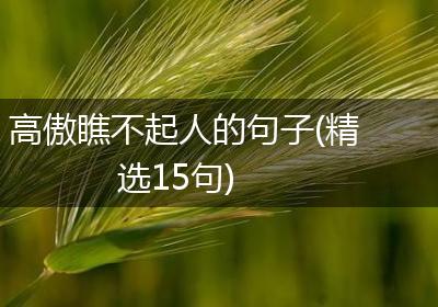 高傲瞧不起人的句子(精选15句)