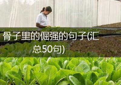 骨子里的倔强的句子(汇总50句)