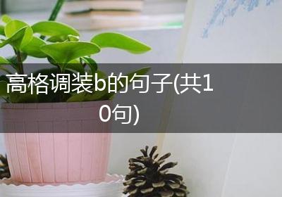 高格调装b的句子(共10句)