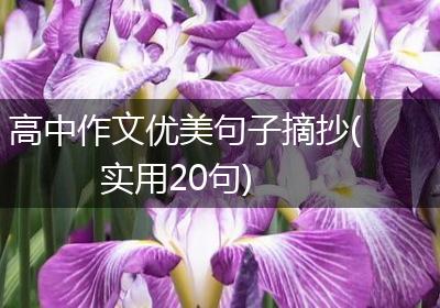 高中作文优美句子摘抄(实用20句)
