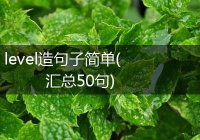 level造句子简单(汇总50句)