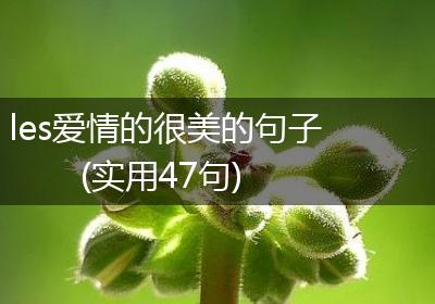 les爱情的很美的句子(实用47句)