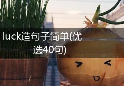 luck造句子简单(优选40句)