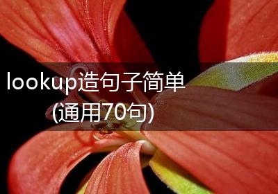lookup造句子简单(通用70句)