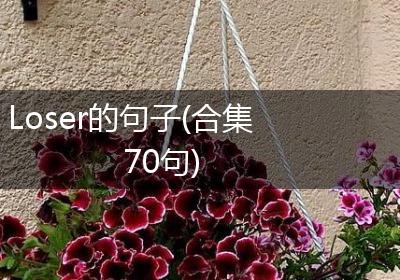 Loser的句子(合集70句)