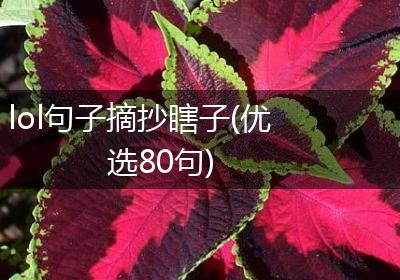lol句子摘抄瞎子(优选80句)