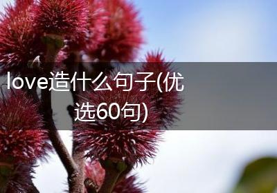 love造什么句子(优选60句)
