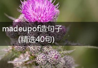 madeupof造句子(精选40句)