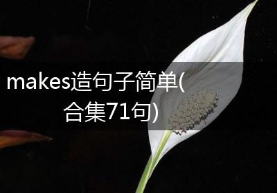 makes造句子简单(合集71句)