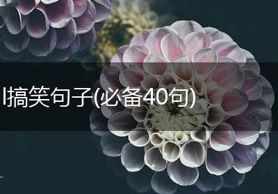 l搞笑句子(必备40句)