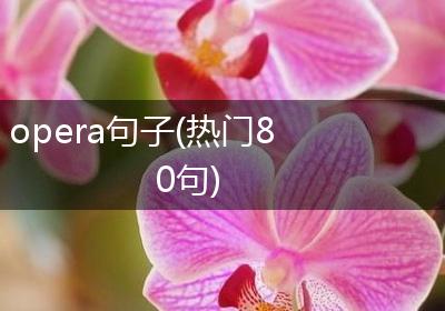 opera句子(热门80句)