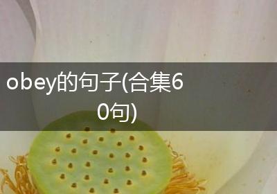 obey的句子(合集60句)