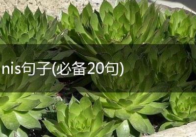 nis句子(必备20句)