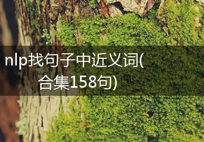nlp找句子中近义词(合集158句)
