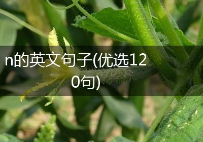 n的英文句子(优选120句)