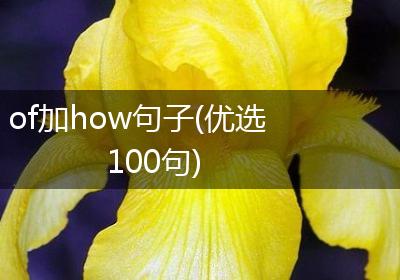 of加how句子(优选100句)