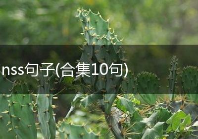 nss句子(合集10句)