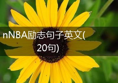 nNBA励志句子英文(20句)